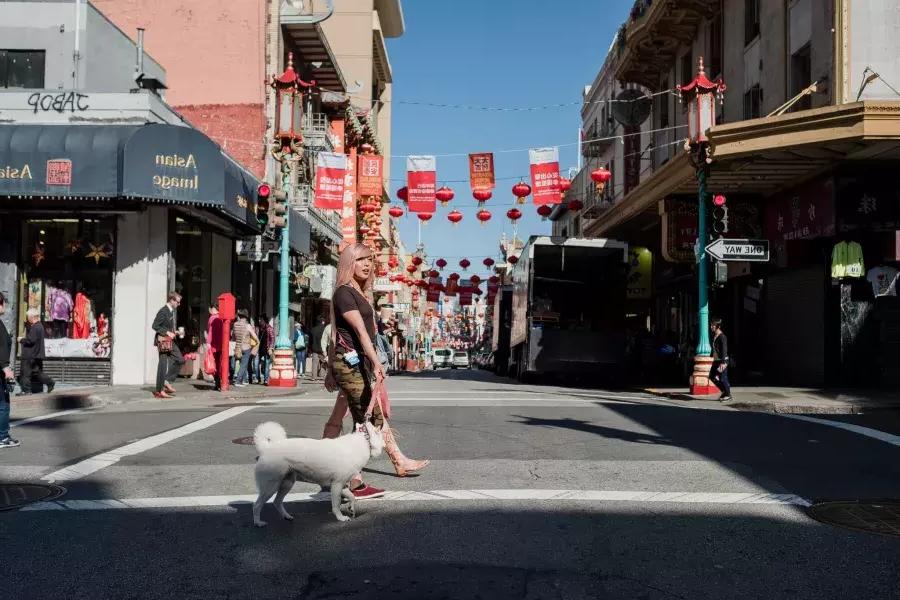 那克鲁兹 walking with her dog in 唐人街.